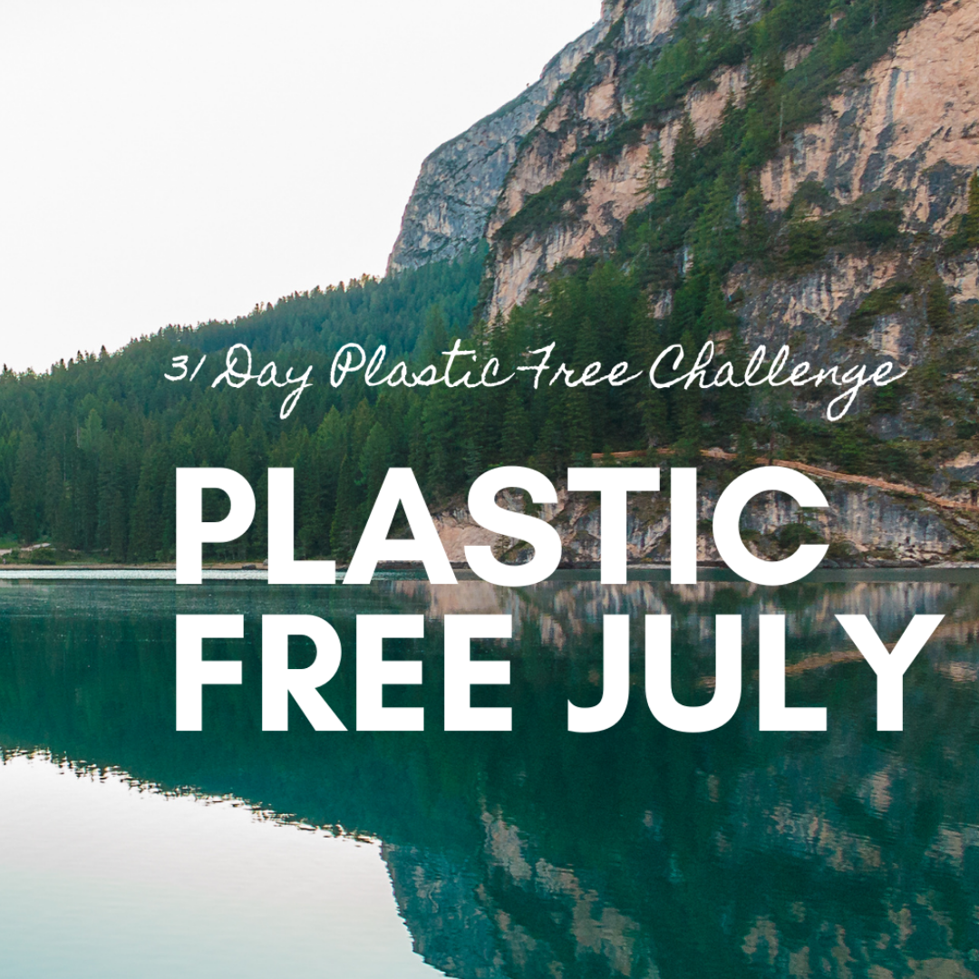 Plastic-Free July Challenge: Eco-friendly lifestyle swaps for a sustainable future. Join Lemonberry's journey towards reducing plastic waste.